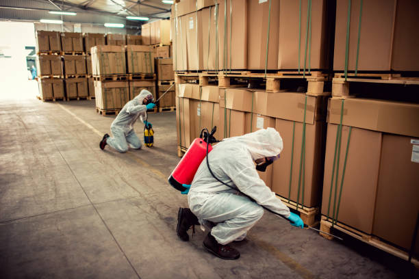 Best Pest Removal Services  in Windsor Heights, IA