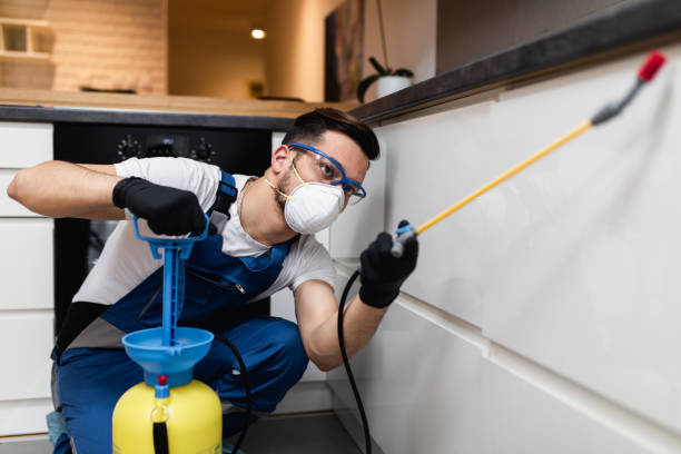Best Residential Pest Control  in Windsor Heights, IA
