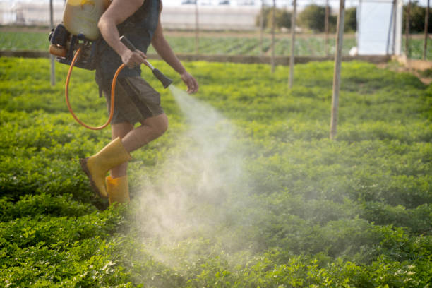 Trusted Windsor Heights, IA Pest Control Experts