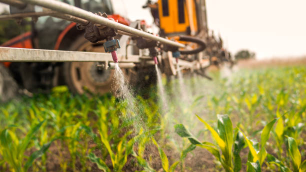 Best Pest Control Near Me in Windsor Heights, IA